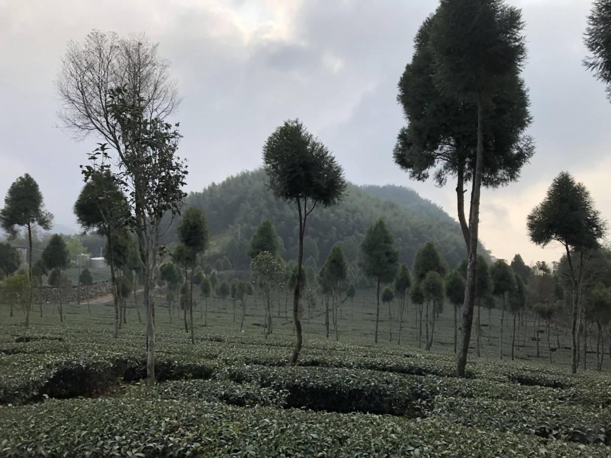 Vila 悟 佐茶 Satori Tea Leye Exteriér fotografie
